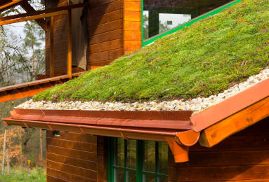 Green-roof insulation — what do you use to insulate an extensive roof?