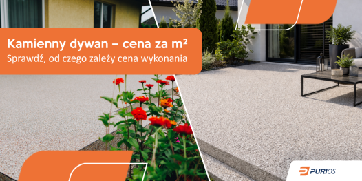 Ile kosztuje kamienny dywan w 2026 roku? Cena za m², materiał i robocizna
